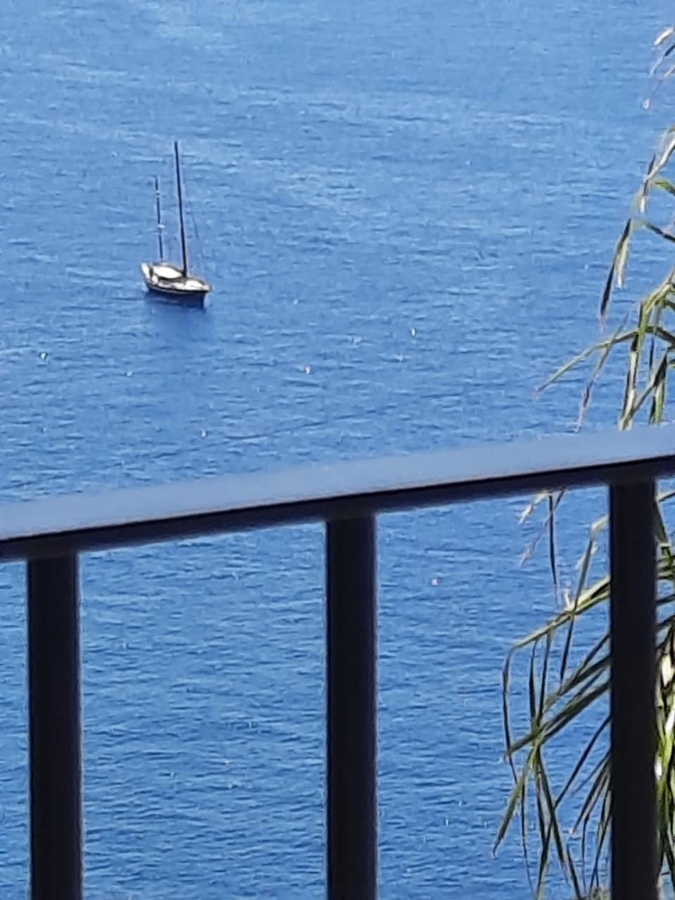 Zeza´s Sky Apartment in Madeira District