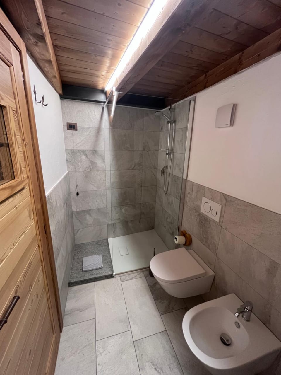 Shower, Toilet, Bathroom, bidet