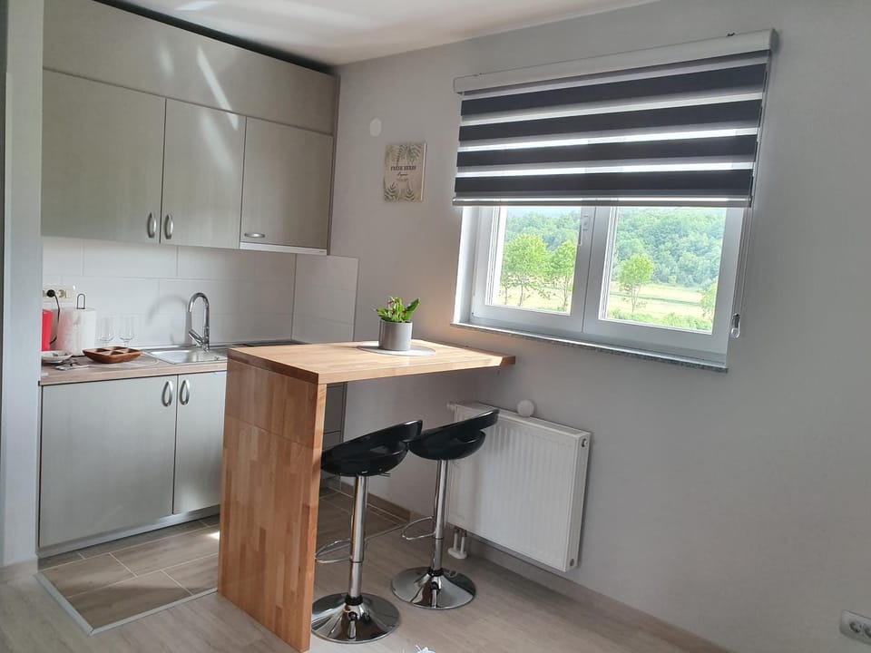 Kitchen or kitchenette, stove
