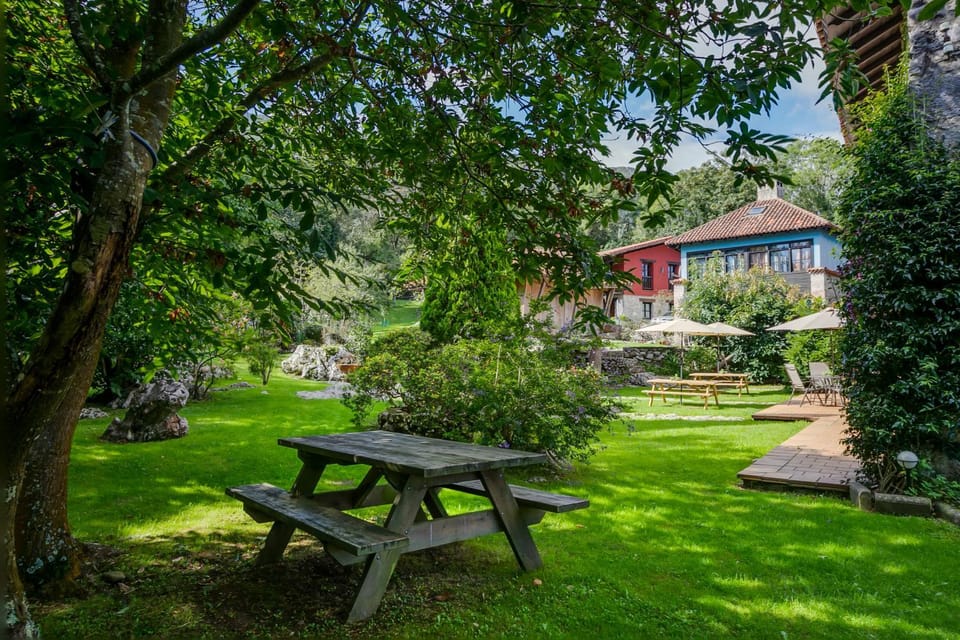 Natural landscape, Garden, Garden view