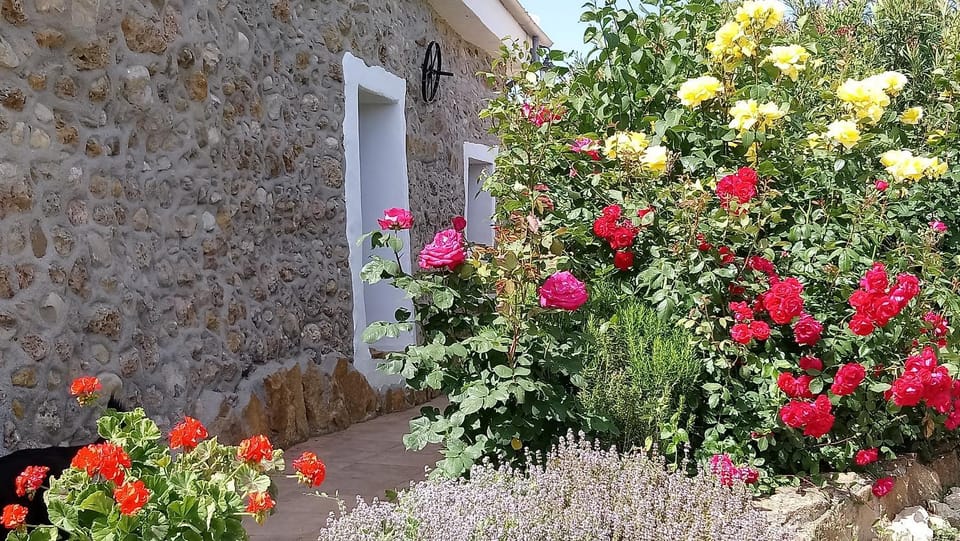 Casa Moya Villa in Andalusia