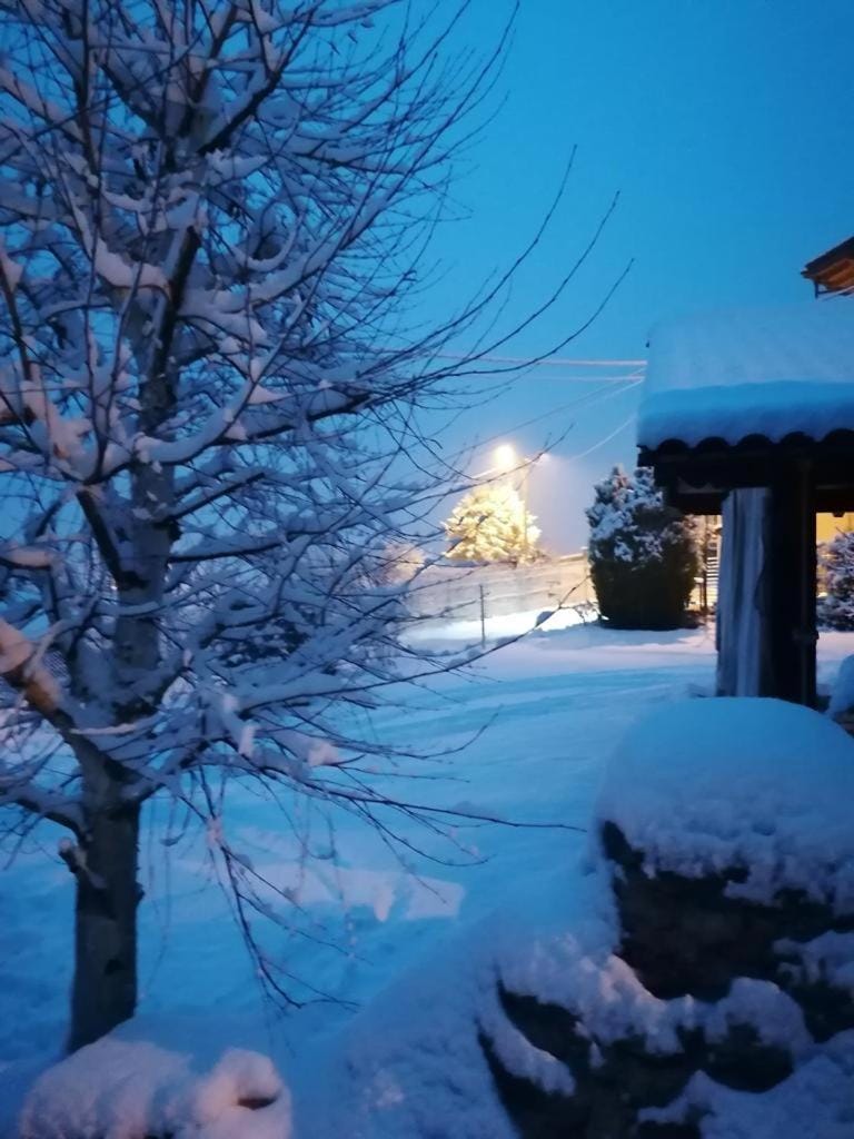 Winter