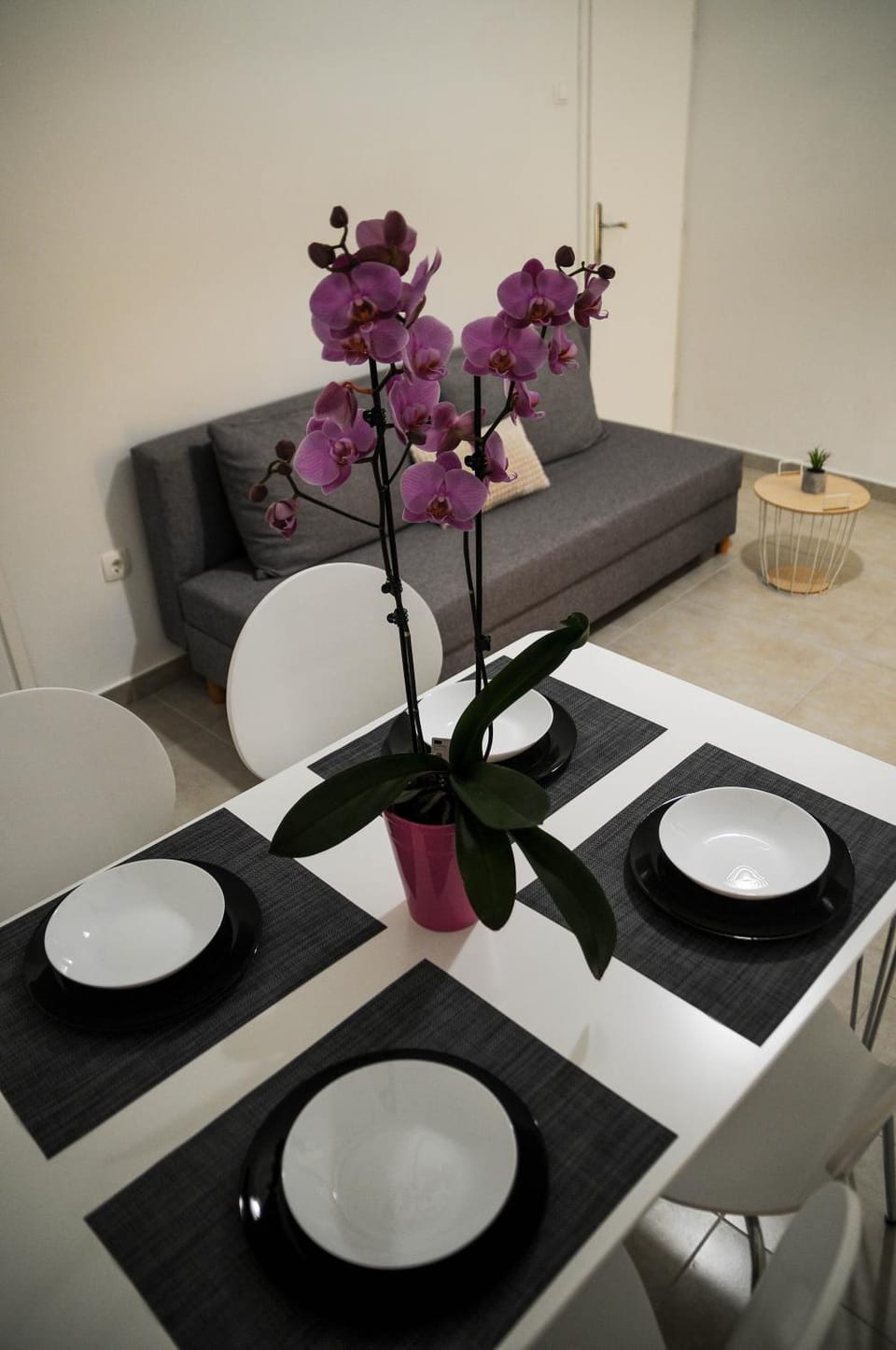 Apartman Gulliver in the center, 10 meters from the sea with private parking in natural shade Apartment in Istria County