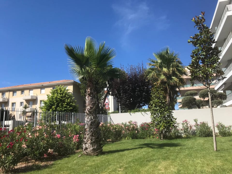 Day, Garden, Garden view