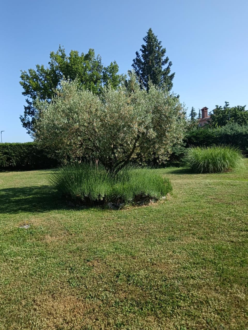 Apartment Greta Apartment in Istria County