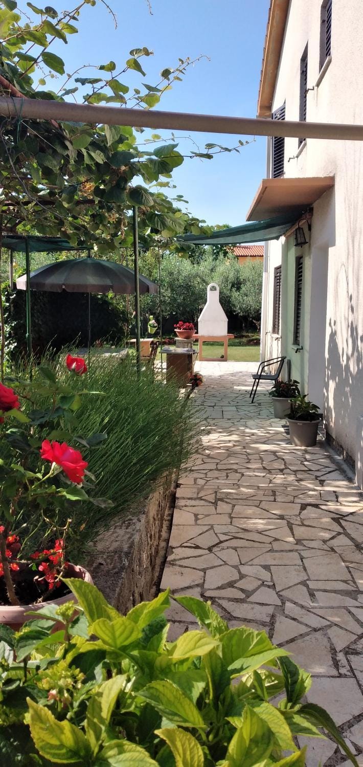Apartment Greta Apartment in Istria County