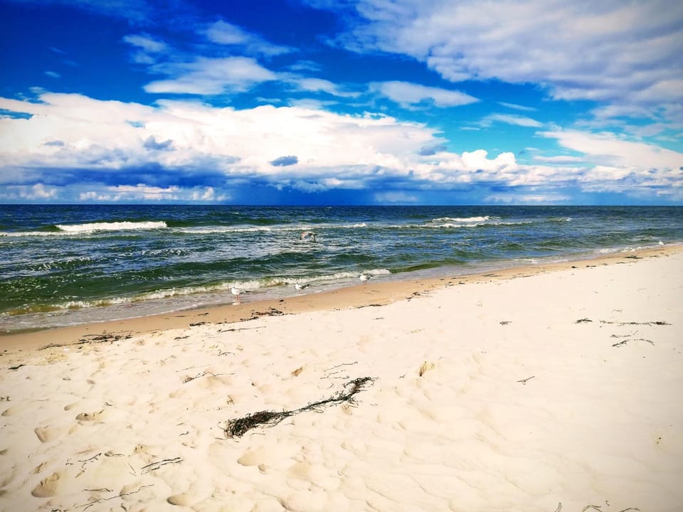 Pokoje gościnne POD TUJĄ Bed and Breakfast in West Pomeranian Voivodeship, Poland