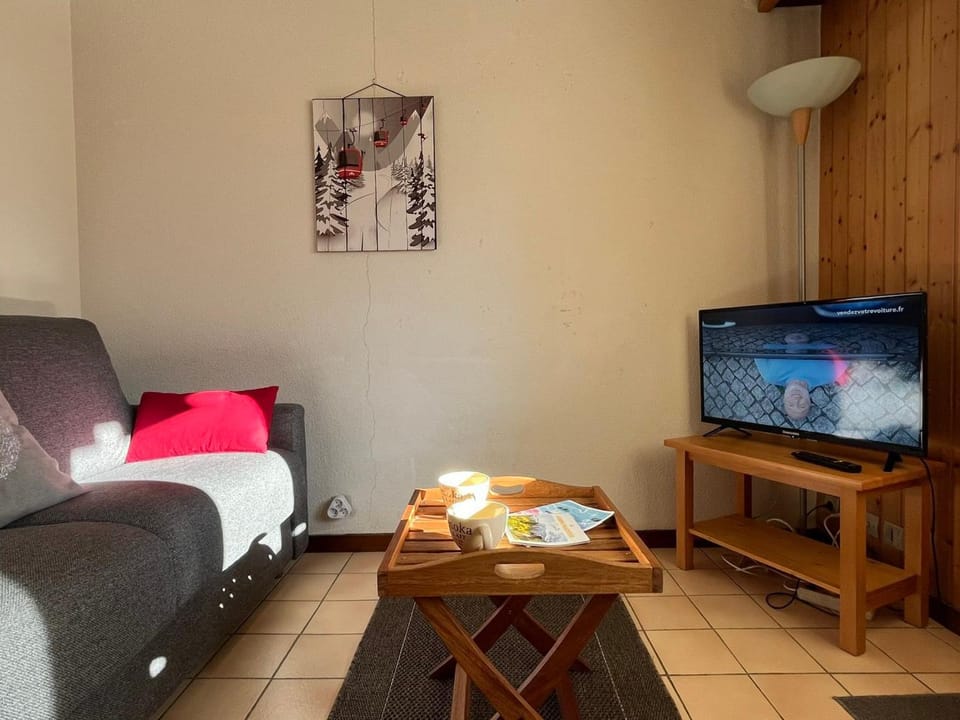 Coquet studio RDC avec terrasse, animaux admis, étang Samoëns - FR-1-629-55 Apartment in Samoëns