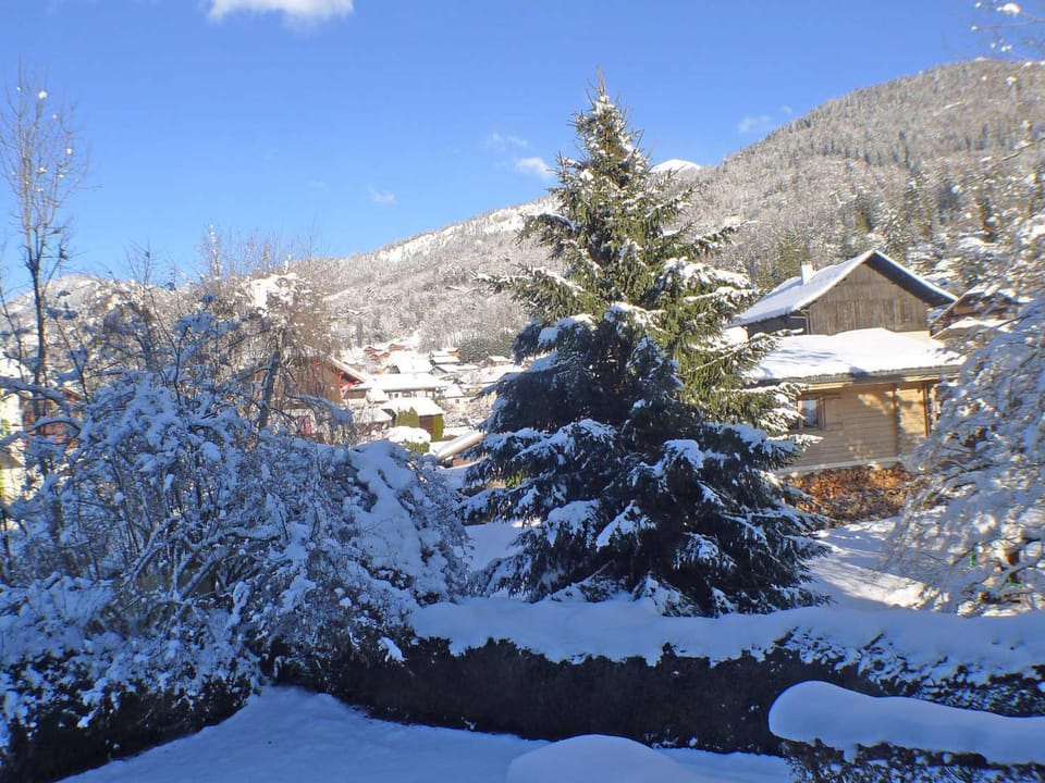 Studio cosy centre village, animaux admis, parking privatif - FR-1-629-66 Apartment in Samoëns