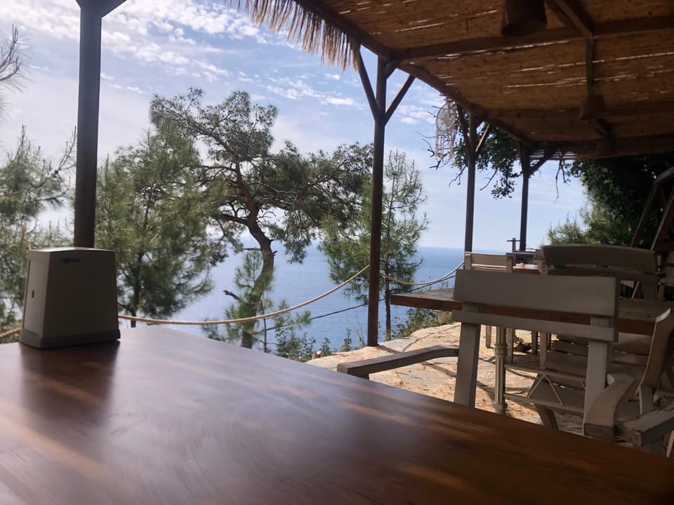 Restaurant/places to eat, Dining area, Sea view