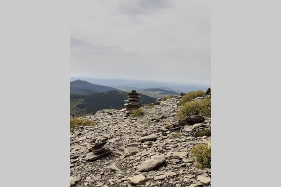 Natural landscape