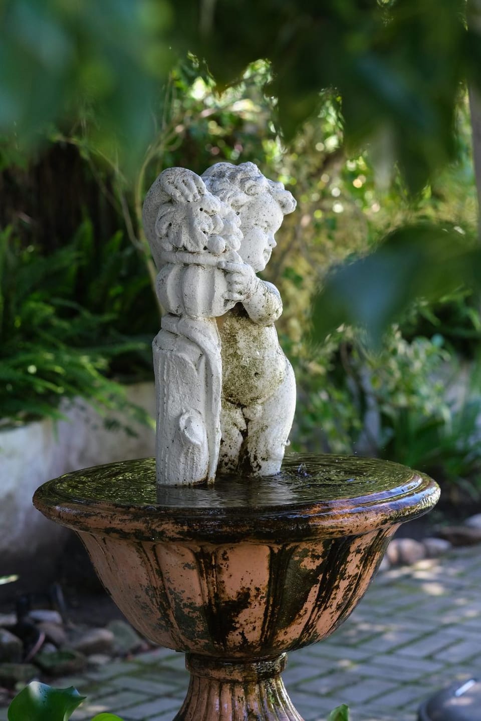 Garden view