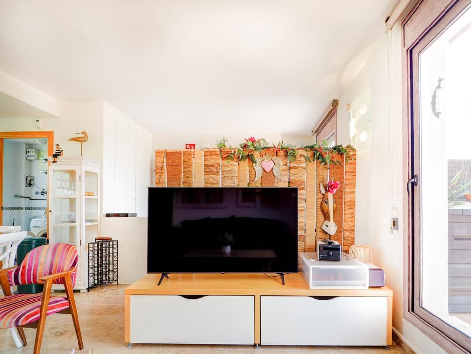 TV and multimedia