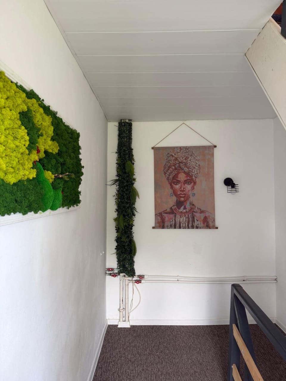 Vila Masco Vacation rental in Constanța County