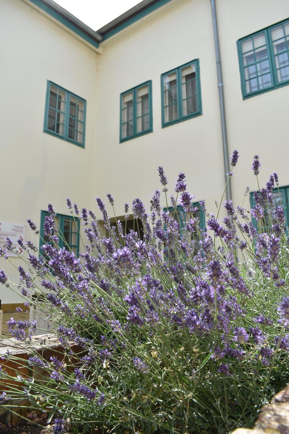 Property building, Facade/entrance, Lobby or reception