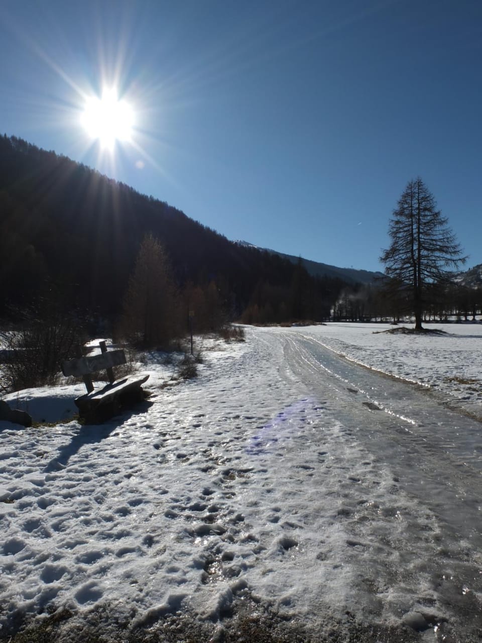 Winter