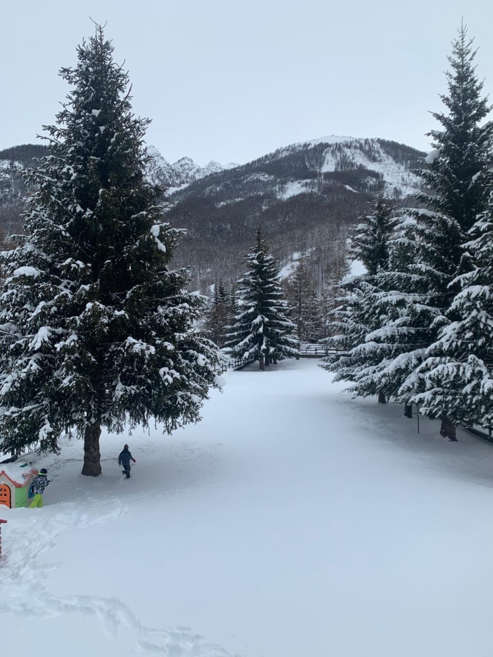 Winter