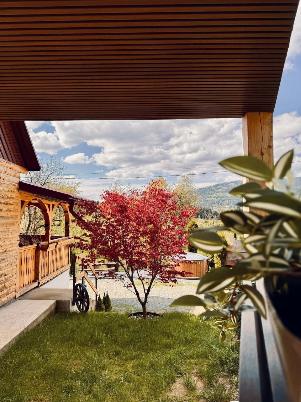 Cabana Elena Chalet in Romania