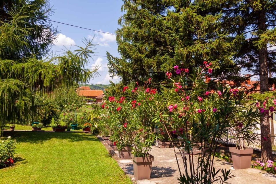 Garden, Garden view