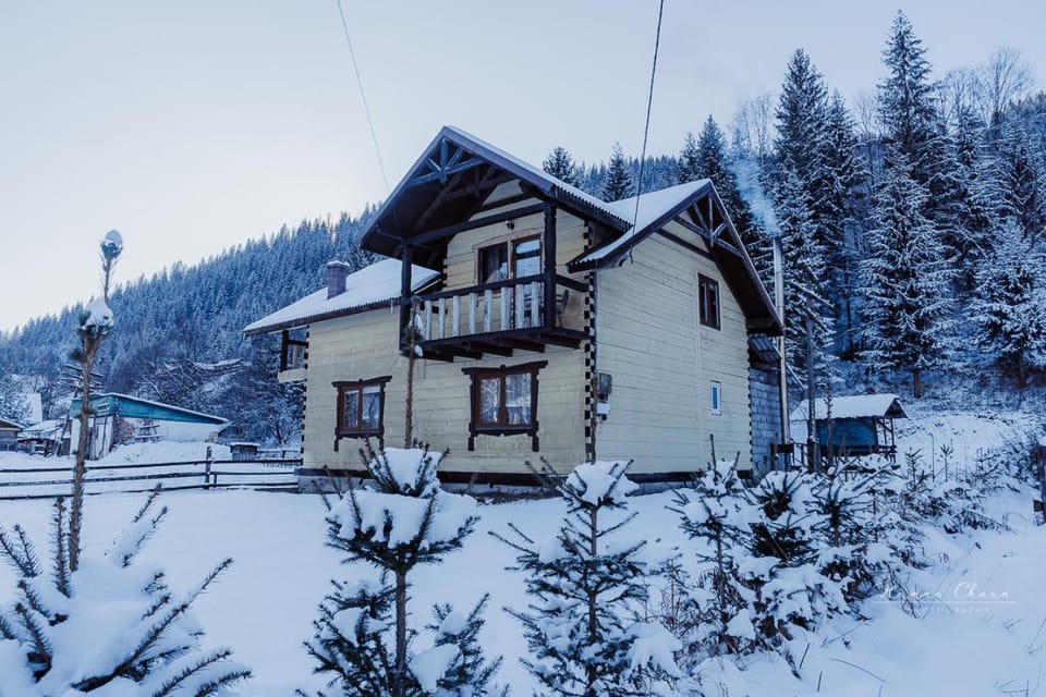 Property building, Natural landscape, Winter
