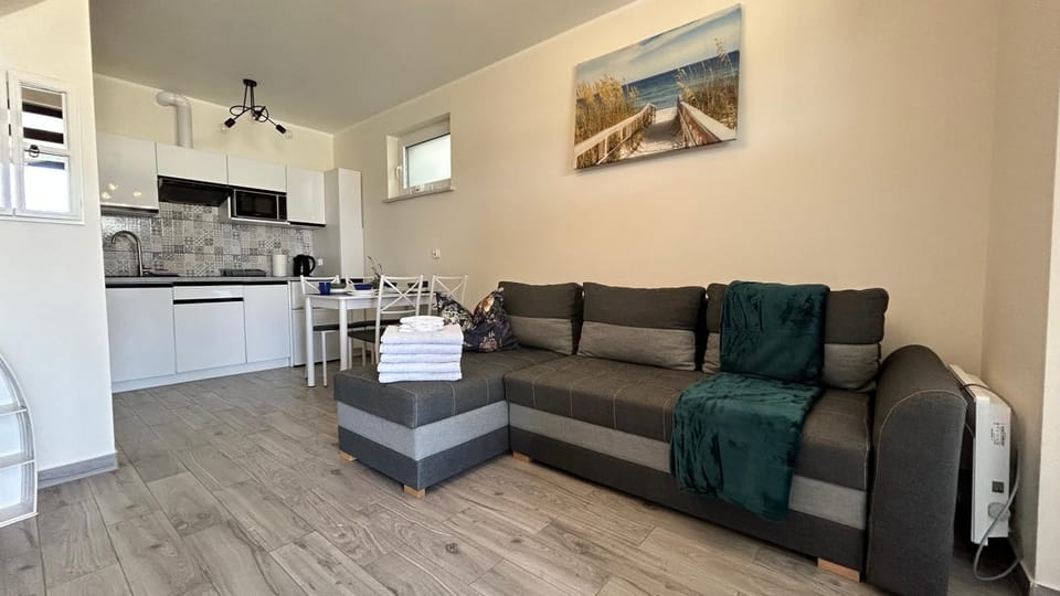 Kitchen or kitchenette, Living room, Seating area, Dining area, dishwasher, oven, stove