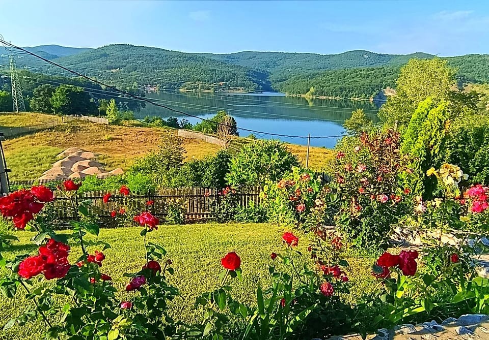 Vila Vera Borsko Jezero Apartment in Serbia