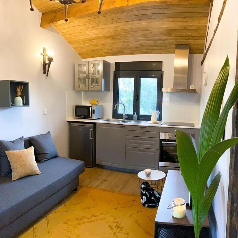 Kitchen or kitchenette, Living room
