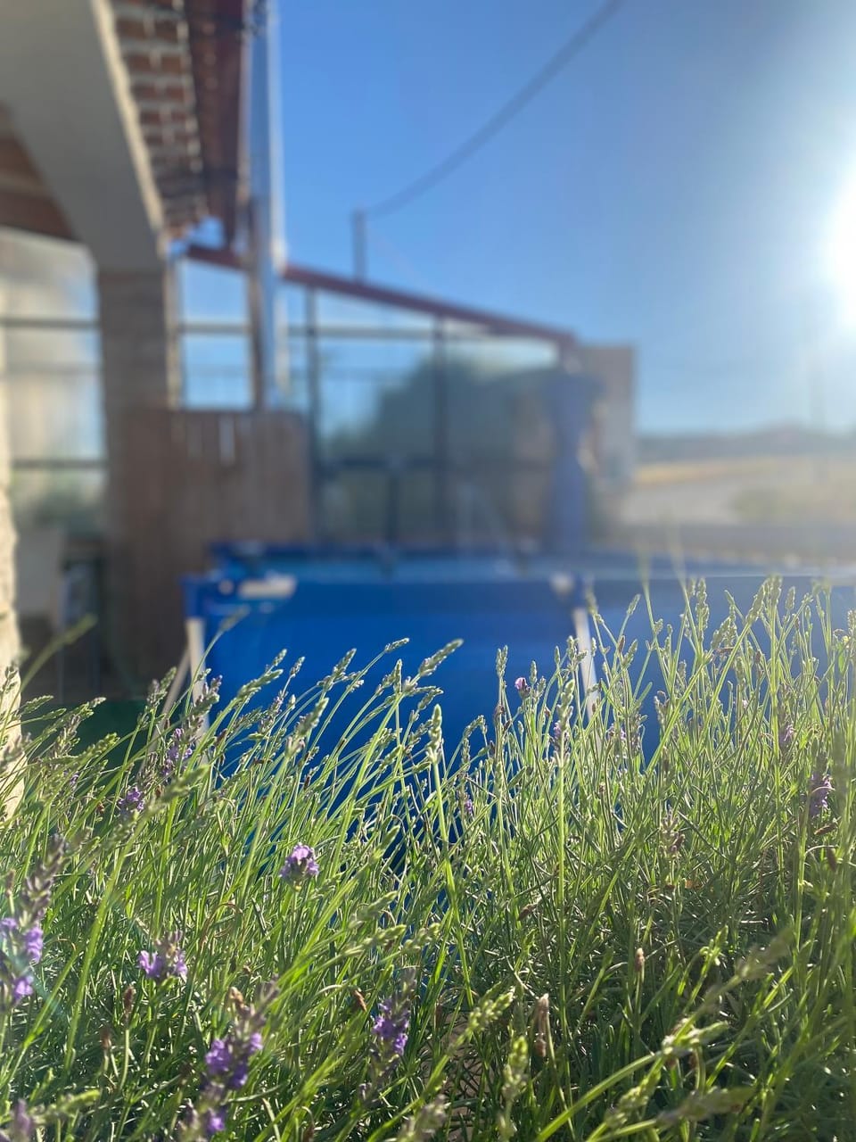 Spring, Pool view, Swimming pool