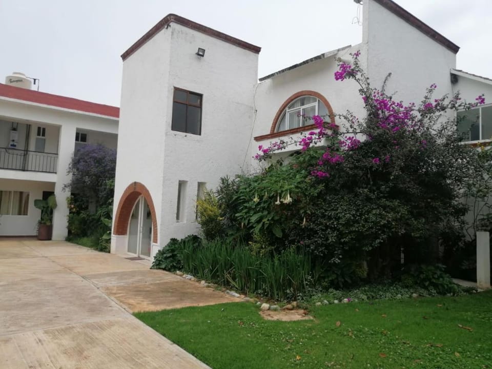 Property building, Facade/entrance, Garden