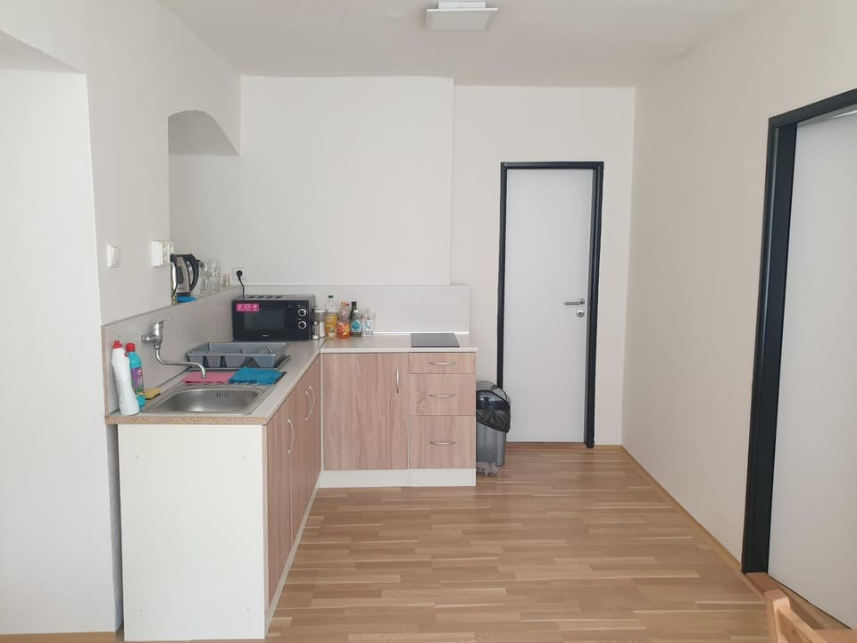 Kitchen or kitchenette, kitchen