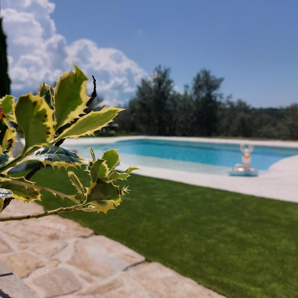 Garden, Swimming pool