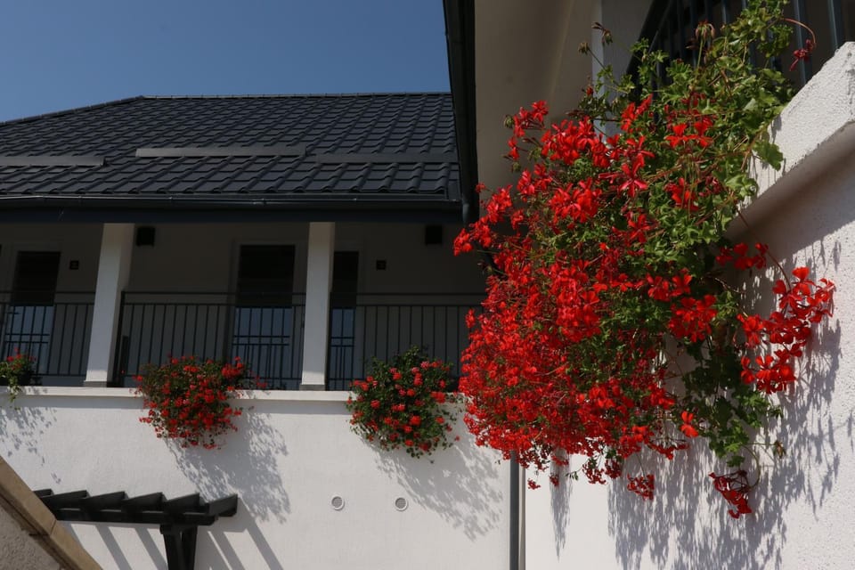 Casa Bolta Rece Bed and Breakfast in Romania