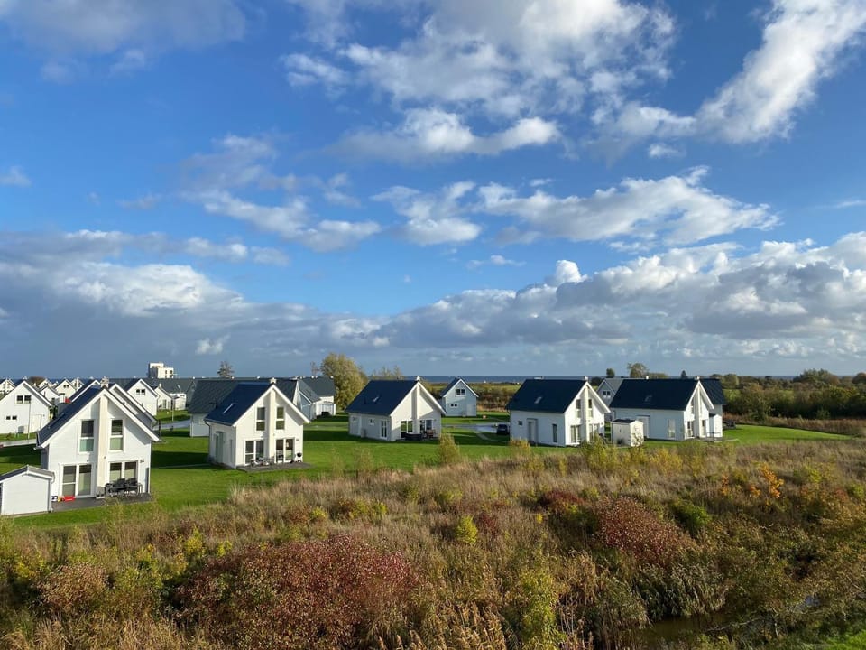 Natural landscape