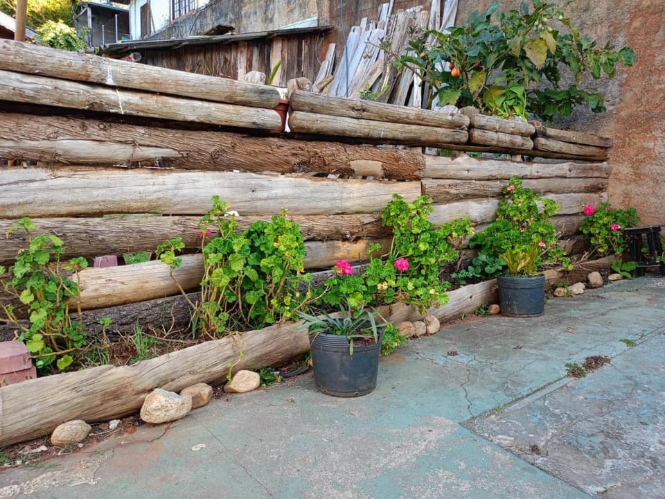 Balcony/Terrace, Garden view