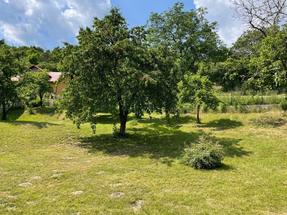 Garden, Garden
