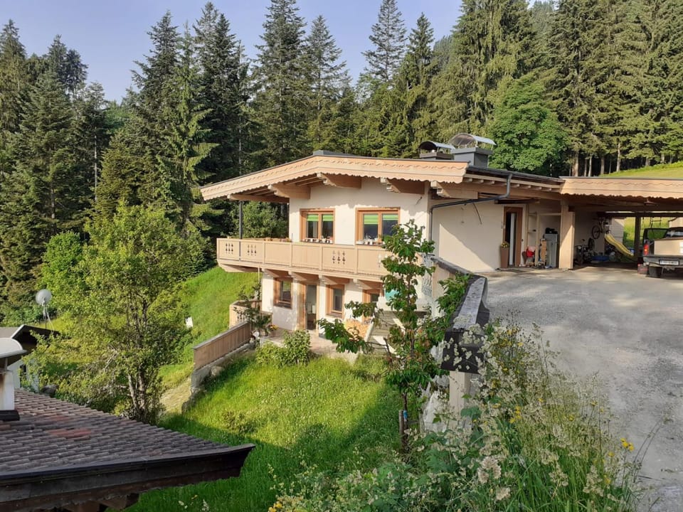 Property building, Garden, Garden view