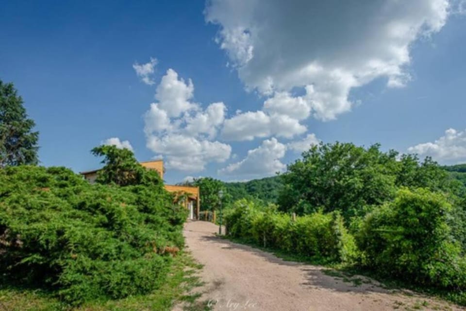 Gîte du Mont Plaisir Villa in Auvergne-Rhône-Alpes