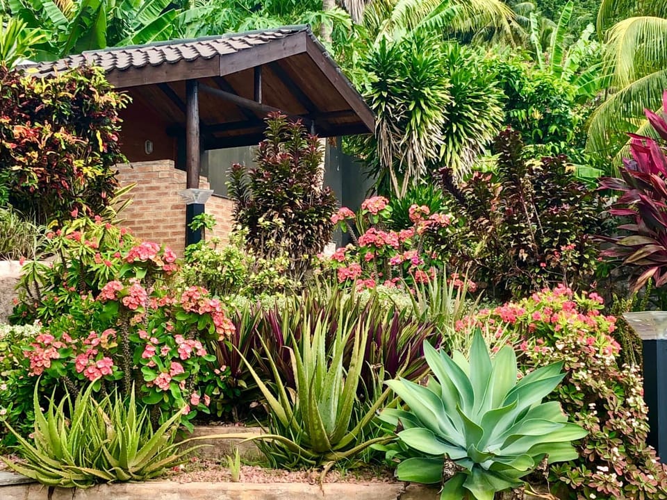 Patio, Garden