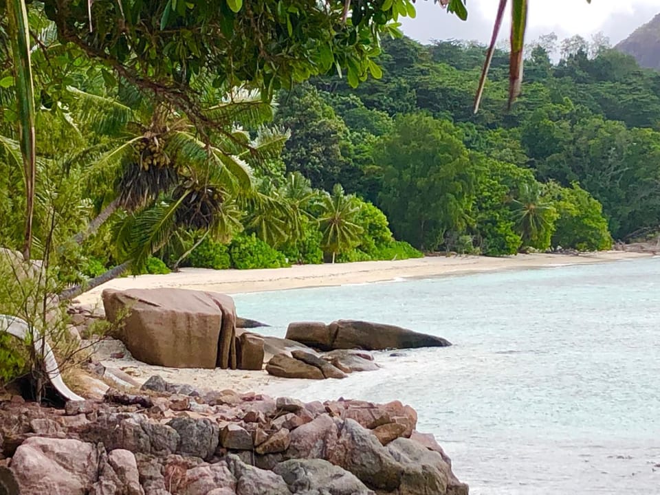 Natural landscape, Beach, Sea view