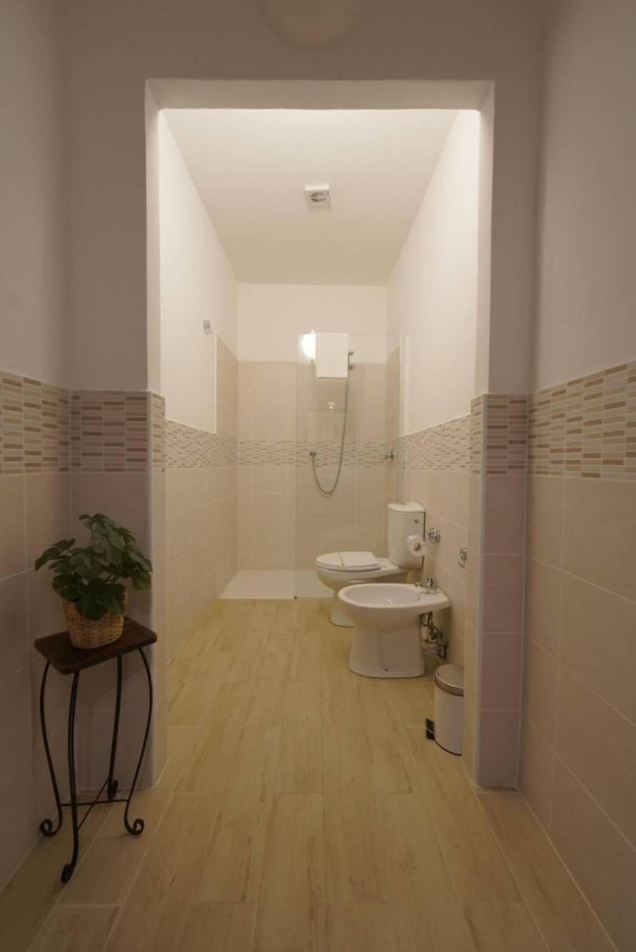 Shower, Toilet, Bathroom, bidet
