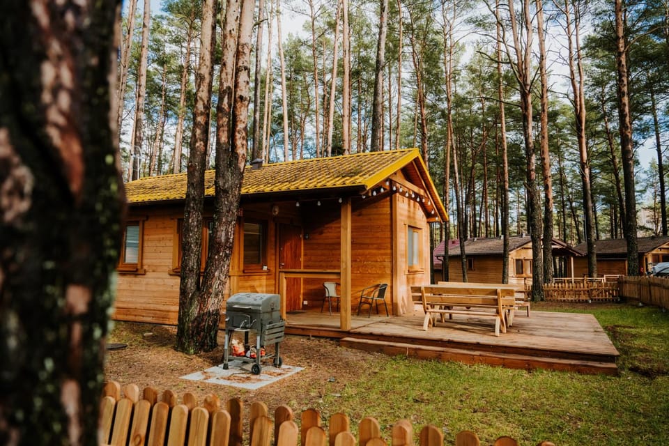 Property building, Natural landscape, Garden