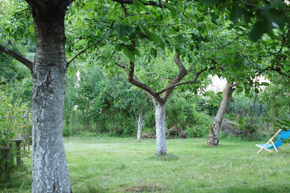 Day, Natural landscape, Area and facilities