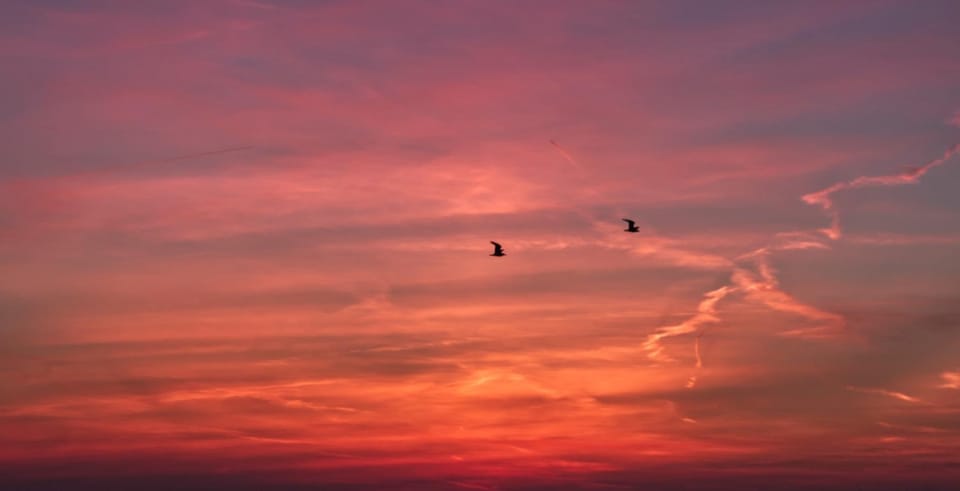 Natural landscape, Beach, Sunrise, Sunset