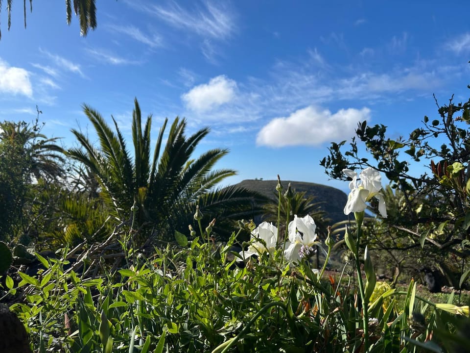 Casa Buenavida House in La Gomera