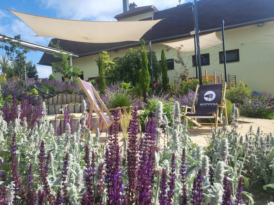 Garden, Garden view