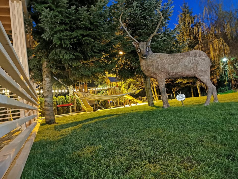 POPASUL LU' VODĂ Resort in Romania