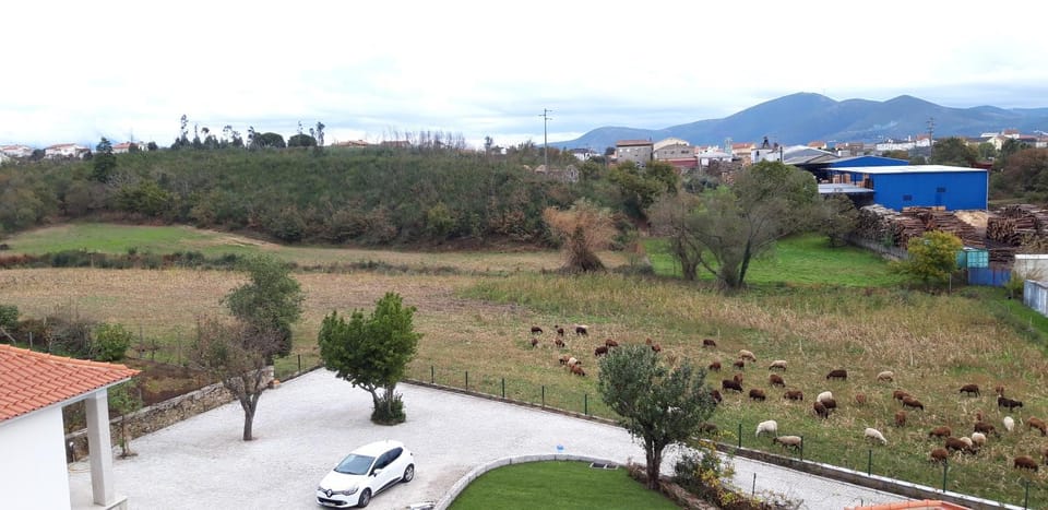 Mountain view, Parking