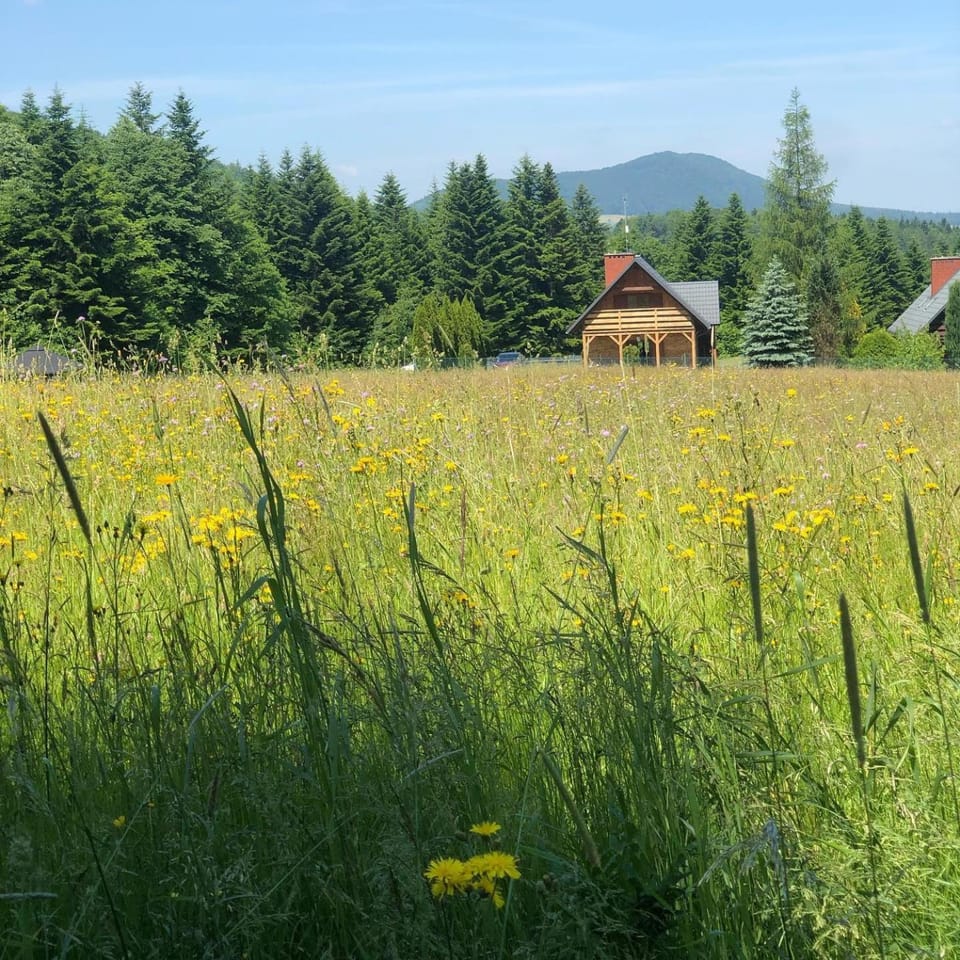Neighbourhood, Natural landscape