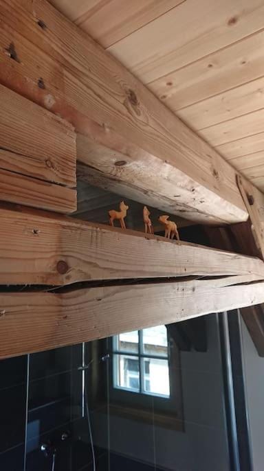 Mothsgut - moderne Ferienwohnung auf dem Bauernhof im Erzgebirge Apartment in Erzgebirgskreis