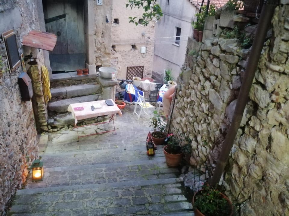 Patio, Day